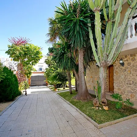 Villa Luxurious Mansion *